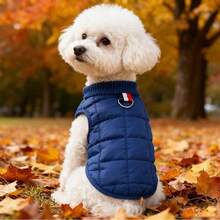 简约宠物服装，猫狗保暖外套，适合秋冬季节，泰迪熊款，小型犬，马尔济斯犬 - 藍色 - 查看 5