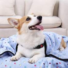 Blue Polka Dot Bordered Pet Blanket, Coral Fleece Flannel Dog Cat Bed Mat Pad Throw - Blue - View 3
