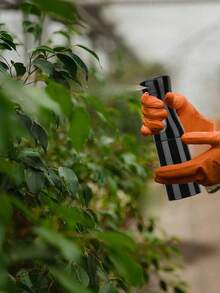5 Paquetes de Set de Herramientas de Bucle para el Cabello con 2 Piezas de Herramienta de Trenza Francesa, Funda de Cuero Cortadora, Cepillo Teasing, Peine Cola de Rata, Cepillo para el Borde y la Parte Posterior para Peinado, Cepillo, Peine, Herramientas para el Cabello