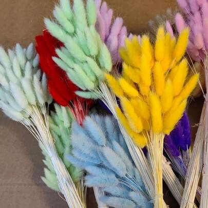 60支天然干花花束，含永生花和兔尾巴，多种颜色可选，适用于家居装饰、花瓶插花、DIY花艺、生日蛋糕装饰和桌面摆件。