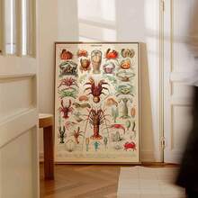1pc Vintage-Inspired Canvas Wall Art Print, Premium Canvas Material Crustaceans Poster Wall Decor Featuring Lobster & Crabs, Maritime Illustration By Adolphe Millot, Elegant Vintage Style Room Decor Poster For Living Room Or Bathroom, Coastal Rustic Home Decor Wall Art - Multicolor - View 3