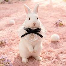 1件蕾丝蝴蝶结仿珍珠宠物项链，可爱兔子/猫咪领结宠物围巾，情人节宠物项圈，适合兔子/猫咪的小号宠物围兜，四季皆宜 - 彩色 - 查看 6