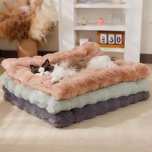 Winter Warm Thickened Pet Blanket All Seasons Universal Cat Mat Dog Soft And Comfortable Solid Color Dog Mat Pet Supplies - màu xanh lá - Xem 1
