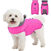 zxr AUTOWT Chaqueta de Invierno para Perro Resistente al Viento Impermeable con Cuello Alto Cálida para Perros Medianos y Grandes Ideal Clima Frío Interior y Exterior89 - Fucsia - Ver 1