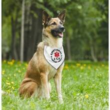 zxr Pañuelo para perro pañuelo de apoyo emocional para perros bufanda para perro estampado clásico blanco accesorios de bufanda para perro pañuelo para mascotas bufanda para mascotas ESA accesorios de bufanda para mascotas pañuelo para perro I2289 - Blanco - Ver 4