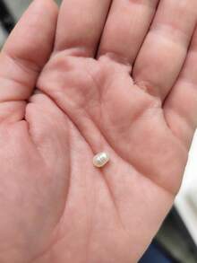 Bead Spacers 100/200 Pcs Shell, Star, Teardrop, Flower And Other Shapes Pearly Jewelry Crafts - 橢圓形珍珠 - 約 5x6 毫米 - 查看 3
