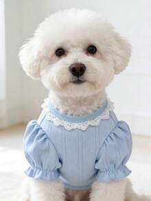 1pc Pet Dog/Cat Shirt, Suitable For Teddy, Poodle, Bichon Frise, Schnauzer, Autumn/Winter - Baby Blue - View 9