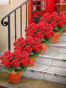 1/2/4株仿真天竺葵灌木 - 逼真的粉色花朵搭配绿色叶子，适合室内外装饰，非常适合花园、门廊、露台、窗台花箱和悬挂式花盆，无需维护的仿真户外花卉灌木 - 彩色 - 查看 3