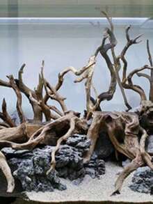 1 Peça Madeira Flutuante Aleatória para Aquário, Decoração de Plantas Naturais para Tanque de Peixes, Tronco de Árvore, Tanque de Peixes, Aquário Doméstico, Decoração de Paisagem, Ferramenta de Decoração para Animais de Estimação, Acessórios para Tanque de Peixes. Consulte o guia de tamanho e o gráfico de tamanho antes de comprar. O formato do material de madeira não pode ser correspondido com o estilo aleatório. - Multicolorido - Visão 7