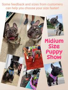 奢华宠物胸背带及身份牌套装，高品质金属配件，时尚印花，适合小型、中型和大型幼犬，情人节和新年礼物之选 - 彩色 - 查看 3