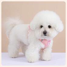 三合一领结式胸背带，适合贵宾犬和泰迪犬，配有1.5米/58.5英寸牵引绳 - 淺粉色 - 查看 5