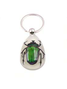 1pc Transparent Insect Keychain, Amber Insect Specimen Keychain Pendant - Multicolor - View 6
