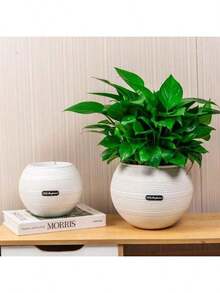 极简奢华圆形球形花盆，适用于室内客厅、书房、卧室、电视柜装饰，加厚树脂材质，适合种植天堂鸟和龟背竹等植物。 - B - 查看 9