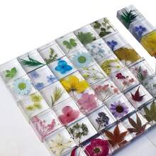 Ornamentos de Espécime de Plantas em Resina, com Diversos Elementos e Cores de Plantas, tornando-os adequados como decorações de presentes criativos. Eles podem ser colocados em uma mesa de escritório, no quarto ou na entrada.