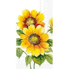Boston International IHR - Servilletas de papel de bufé de 16 capas, 8.5 x 4.5 pulgadas, coloridos girasoles(8.5 x 4.5-Inches Girasoles coloridos.) - Multicolor - Ver 1