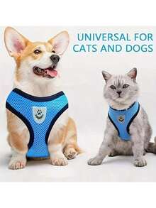 New Luminous Dog Harness And Leash Set, Available In Multiple Colors And Sizes, Suitable For Cats, Dogs And Various Pets - Multicolor - View 8