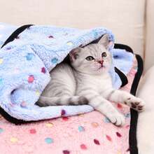 Blue Polka Dot Bordered Pet Blanket, Coral Fleece Flannel Dog Cat Bed Mat Pad Throw - Blue - View 5