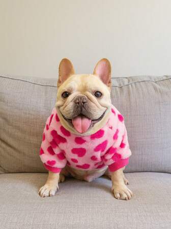 1-delad husdjurskläder och hundkläder – Mjuk, fluffig rosa hjärttryckt fleecejacka för husdjur, mysig varm vinterjacka för fransk bulldogg (passar små och medelstora hundar), snygg hundjacka för vinter och höst inomhus, avkoppling i soffan, perfekt romantisk husdjursdräkt för alla hjärtans dag, mysig och bekväm hundkläder, fleecejacka för dagligt bruk och festliga tillfällen, oumbärligt föremål i husdjursgarderoben för mysig husdjursstyling