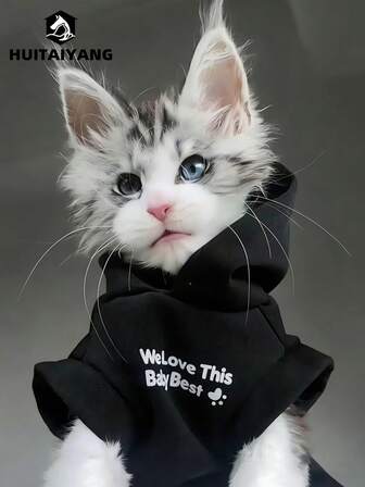  1pc HUITAIYANG Pet Hoodie, Cat Hooded Half Sleeve Sweatshirt, Dog Hoodies Cat Clothes, Autumn/Winter Pet Loungewear, Cat Clothes With Hood, Letter Print, Black Pet T-Shirt, Dog Tops, Pet Apparel