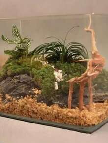 1 Peça Madeira Flutuante Aleatória para Aquário, Decoração de Plantas Naturais para Tanque de Peixes, Tronco de Árvore, Tanque de Peixes, Aquário Doméstico, Decoração de Paisagem, Ferramenta de Decoração para Animais de Estimação, Acessórios para Tanque de Peixes. Consulte o guia de tamanho e o gráfico de tamanho antes de comprar. O formato do material de madeira não pode ser correspondido com o estilo aleatório. - Multicolorido - Visão 5
