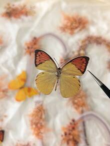 20pcs/Pack Sunset Arch Floral & Butterfly PET Stickers - one-size - View 5