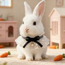 1件蕾丝蝴蝶结仿珍珠宠物项链，可爱兔子/猫咪领结宠物围巾，情人节宠物项圈，适合兔子/猫咪的小号宠物围兜，四季皆宜 - 彩色 - 查看 7