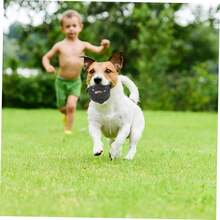 Durable Rubber Tire Dog Toy – Chew-Resistant Interactive Play Toy For Dogs |   Heavy-Duty Fetch & Chew Toy (Black With Color Accents) – Perfect For Active Dogs, Teething Puppies & Outdoor Play (Ideal For Dog Owners, Pet Caregivers & Outdoor Enthusiasts) - 黑色 - 查看 9