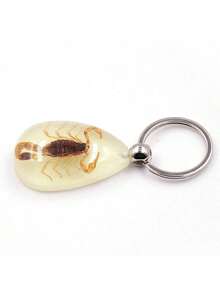 1pc Transparent Insect Keychain, Amber Insect Specimen Keychain Pendant - Multicolor - View 10