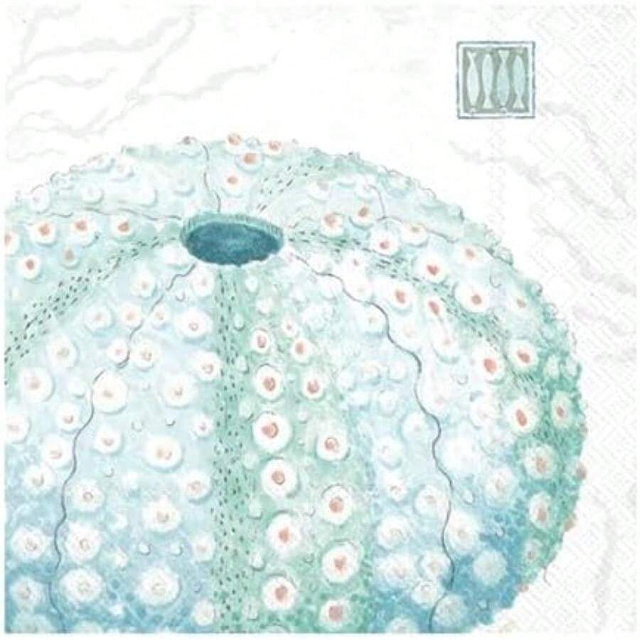 IHR Home Range - Servilletas desechables de 3 capas de papel para fiesta, 5 x 5 pulgadas, delicado dólar de arena marina, 20 unidades(Delicado erizo de mar 5" x 5") - Multicolor - Ver 1
