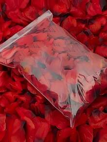 2000/1000/500/100片人造红玫瑰花瓣，手工浪漫花束，适用于婚礼、情人节、房间装饰、家居装饰、生日装饰、餐桌装饰、卧室装饰、浴室装饰、情人节礼物、毕业装饰，是浪漫场合和礼物的完美之选，用途广泛。 - 彩色 - 查看 8