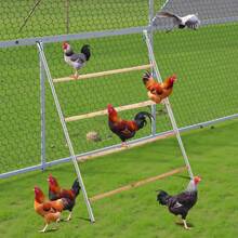 104*143cm  Outdoor Chicken Perch - mặc định - Xem 6