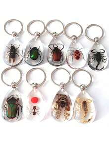 1pc Transparent Insect Keychain, Amber Insect Specimen Keychain Pendant - Multicolor - View 9