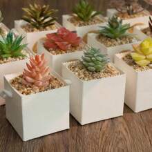 10pcs/25pcs Succulent Wrap Bags, Small Kraft Paper Succulent Gift Box Fits 2.36 Inch Pots For Party Favors - Khaki - View 10