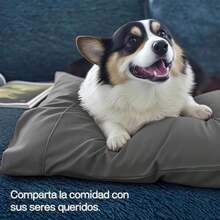 MR& 2 Fundas de Almohada de Microfibra Ultrafina Tamaño Estándar 50x70cm, Suaves Cómodas y Elegantes con Bordes Decorativos, Funda para Almohada Diseño Tipo sobre (50x70cm, )(Gris Oscuro Estándar(50x70cm)) - Multicolor - Ver 8