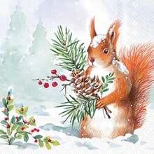 Kitchen Tissue - Multicolor - View 1