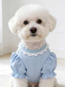 1pc Pet Dog/Cat Shirt, Suitable For Teddy, Poodle, Bichon Frise, Schnauzer, Autumn/Winter - Baby Blue - View 14