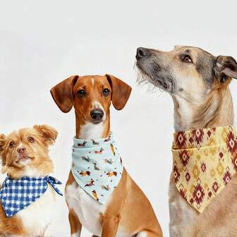 1 st husdjursbandana, justerbar hundhaklapp/halsduk, söt katthalsduk