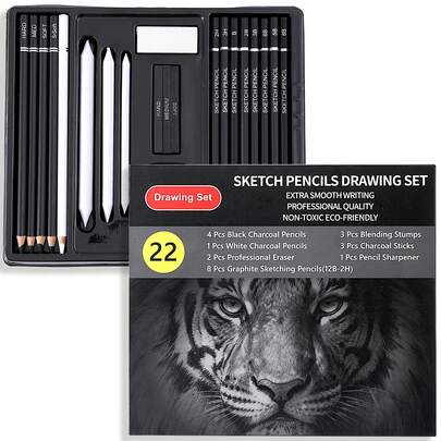 Professional Sketch Pencil Set -22 Piece Set Of Graphite And Charcoal Drawing Kit, With Eraser And Sharpener | A Complete Set Of Art Supplies Suitable For Beginners And Artists