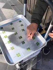 Transparent Four-Leaf Clover Postcard - This Is A Fully Transparent Blessing Card, Very Suitable For Use As A Bookmark And Decoration. It Is An Excellent Holiday Gift. Its Unique Four-Leaf Clover Shape Makes It Perfect For Carnival, St. Patrick's Day, And Birthday Gifts.