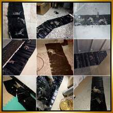 5-Pack Sticky Pest Trap Boards – Strong Glue Pads For Multi-Pest Control - 黑色 - 查看 7