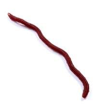 HENGJIA 8cm Fishing Soft Lure Trout Worm Earthworm Bait Realistic Fake Bloodworm Maggot Soft Bait - Red - View 7