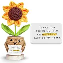 精美的钩针编织猫咪、向日葵、企鹅和鸭子摆件，搭配励志卡片，传递积极情绪和动力。这些钩针动物摆件可用作励志礼物、家居/办公装饰、交换礼物或圣诞节礼物。 - 多彩 - 查看 36