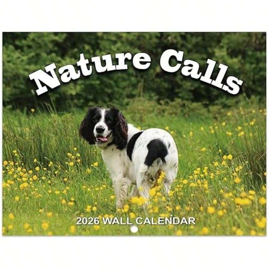 2026-calendar-gag-gifts-wall-calendar-2026-pooping-dogs-calendar