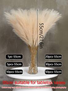 100/80/60/50/30/20/10pcs/1pc Faux Pampas Grass, Artificial Fluffy Pampas Grass, Pompous Grass Flower Arrangement For Boho-Inspired Atmosphere Home Wedding Decoration Outdoor Wedding - Champagne - View 20