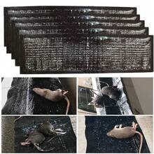 5-Pack Sticky Pest Trap Boards – Strong Glue Pads For Multi-Pest Control - 黑色 - 查看 12