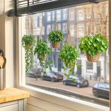 1pc Green Plant Hanging Basket Pattern Decoration Window Sticker, Potted Plant Static Adsorption Sticker, Hanging Green Plant Decoration Glass Sticker, Mobile Double-Sided PVC Reusable, Suitable For Home Glass Doors And Windows Decoration Sticker - Green - View 12
