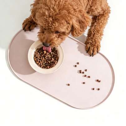 1pc Oval-Shaped Pet Food Mat, Non-Slip & Waterproof Design, Durable & Easy To Clean, Suitable For Dry & Wet Food, For Cats & Dogs, Multi-Pet Households. 100% Waterproof With Raised Edges, Silicone Pet Feeding Mat, Food & Water Bowl Mat To Prevent Spills And Protect Floors, Pet Supplies