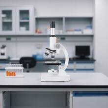 Microscope For Kids Adults, 40X-2000X Professional Compound Microscope Mobile Phone Adapter With LED Light, For Laboratory, School, Home, Education - 查看 1