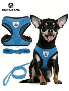 1 Set HUITAIYANG All-Season Pet Leash And Harness Set, Comfortable Breathable With Reflective Strips, Mesh Design, Lightweight Non-Choke Adjustable Leash And Harness Set For Small To Medium Dogs And Cats (Actual Product May Be Slightly Smaller, Please Order One Size Up) - Blue - View 2