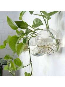 壁挂式玻璃生态瓶套装 - 自浇水水培种植箱，适用于家庭办公室装饰，手工圆形水晶花瓶 - 無色 - 查看 7